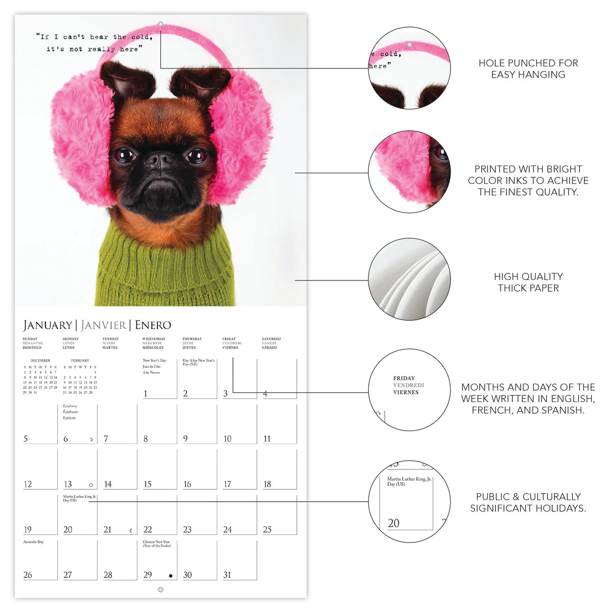 Calendario 2025 Mini Pared 12M - Pawparazzi