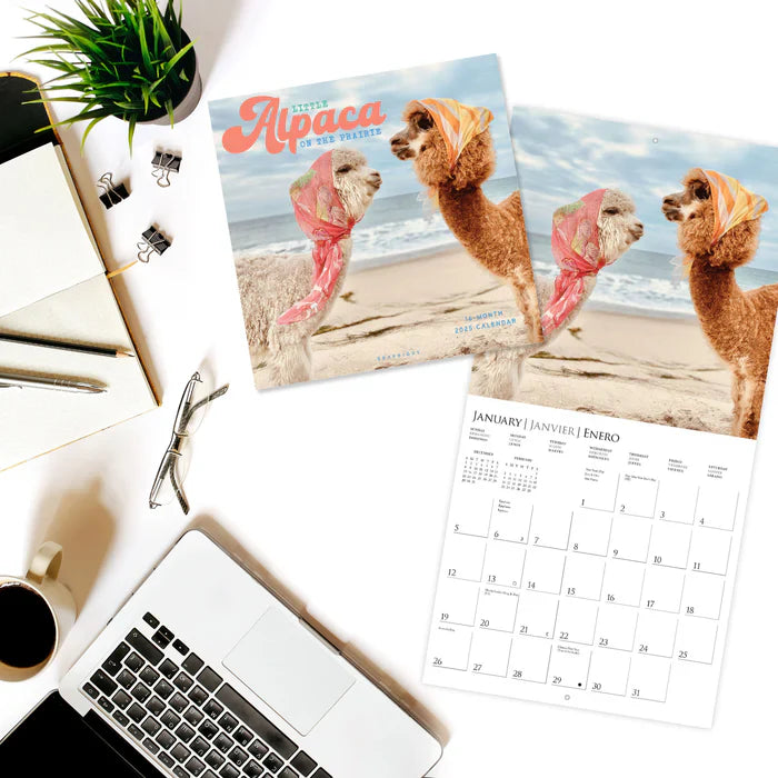 Calendario 2025 Pared 12M - Little Alpaca on the Prairie