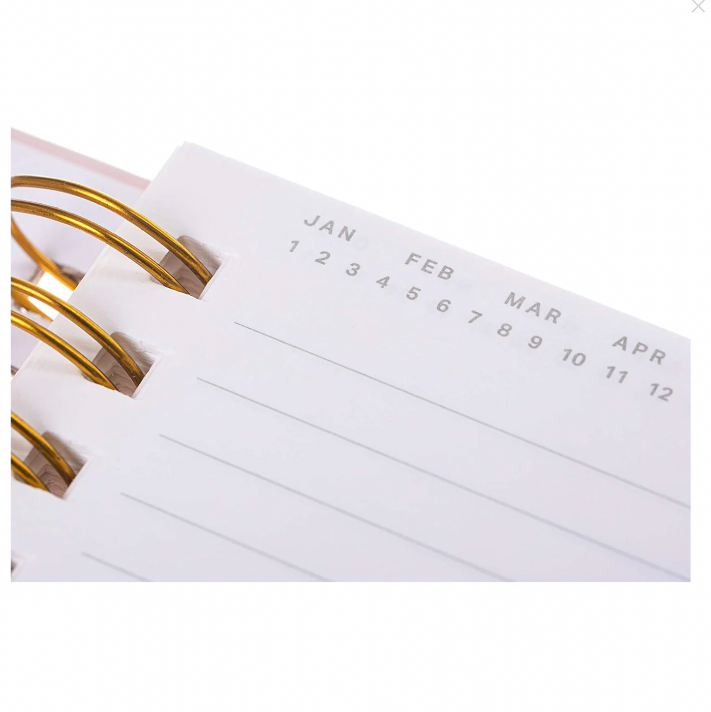 Cuaderno Perritos Rosados