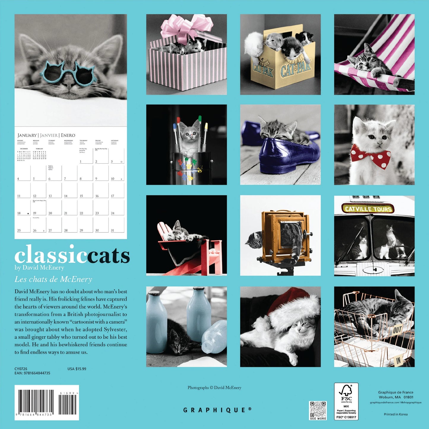 Calendario 2026 Pared 12M - Classic Cats