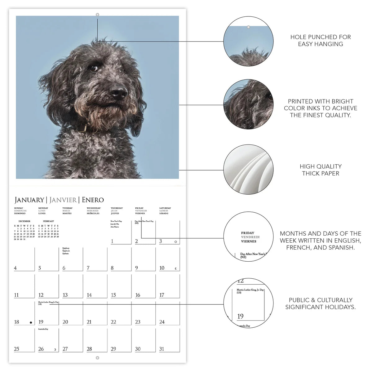 Calendario 2026 Pared 12M - Judgmental Dogs