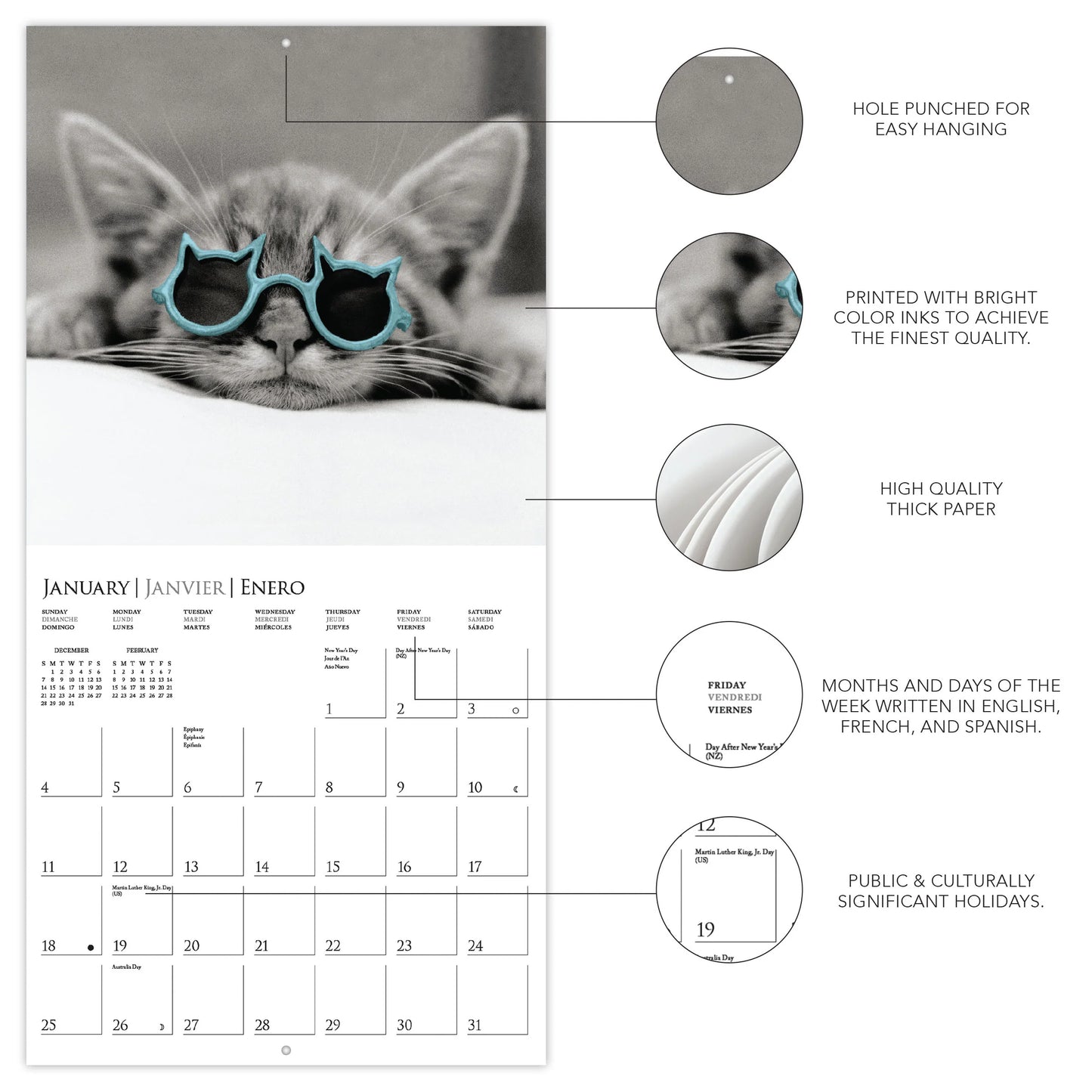 Calendario 2026 Pared 12M - Classic Cats