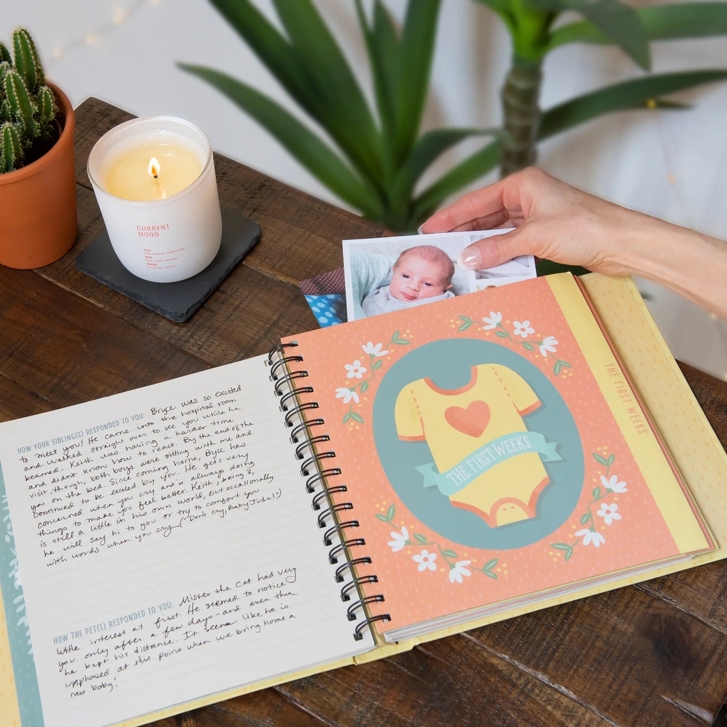 Libro Bebé Bundle of Joy