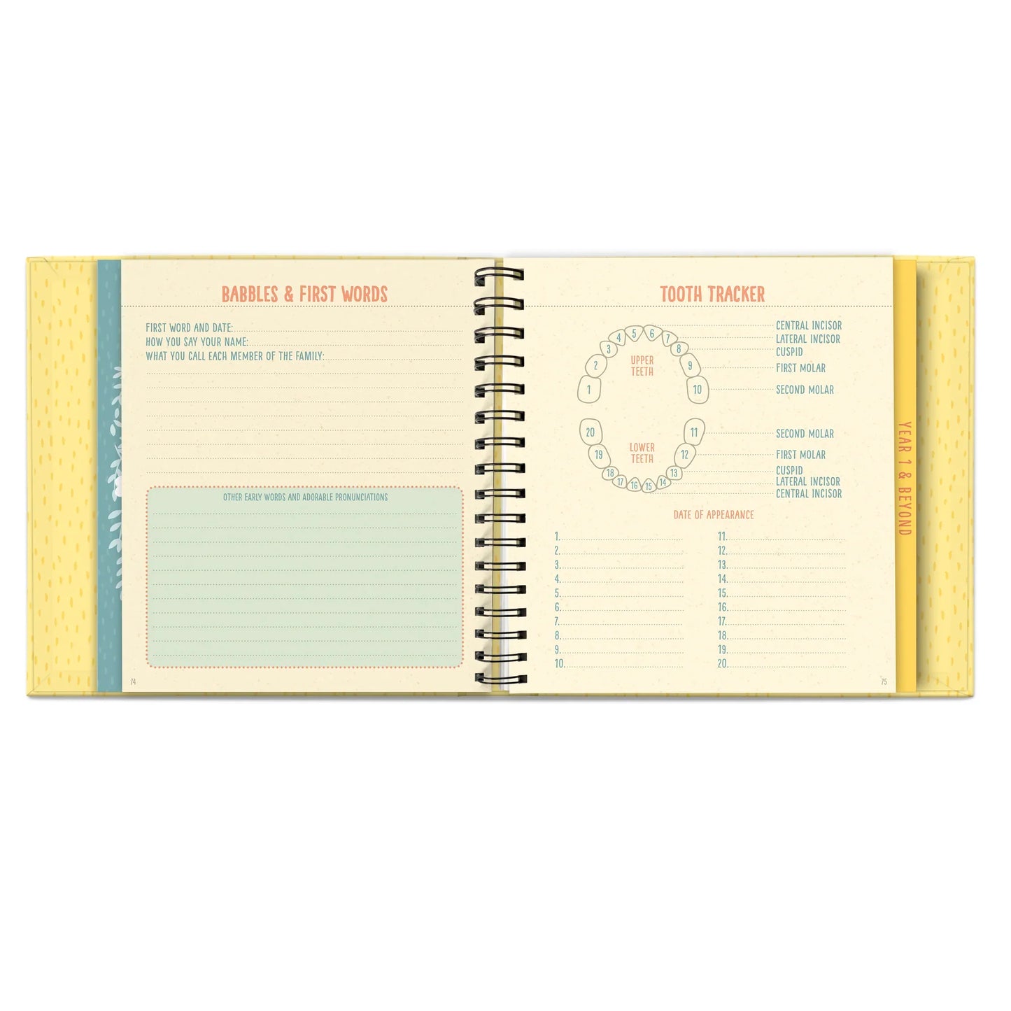 Libro Bebé Bundle of Joy