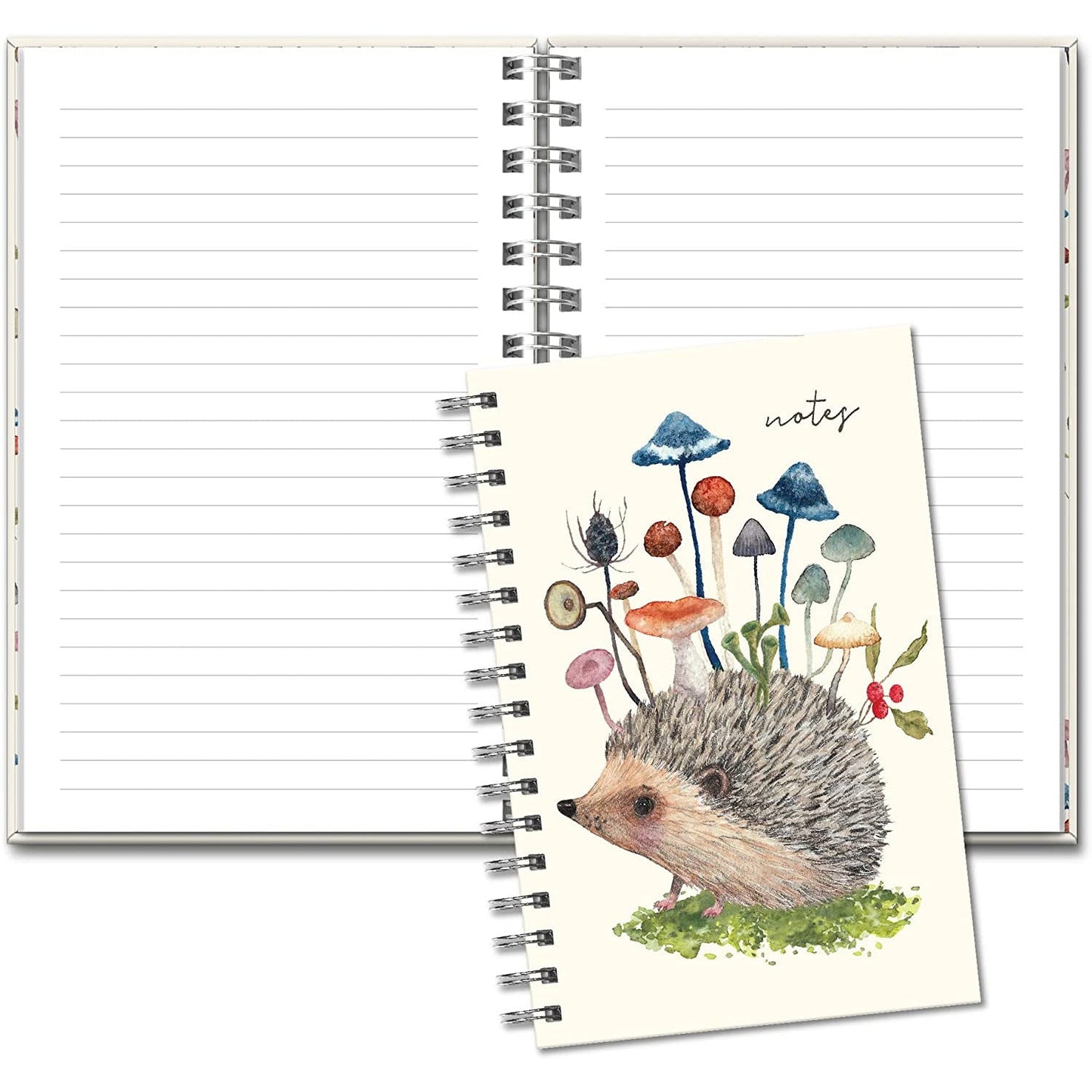 Cuaderno Erizo
