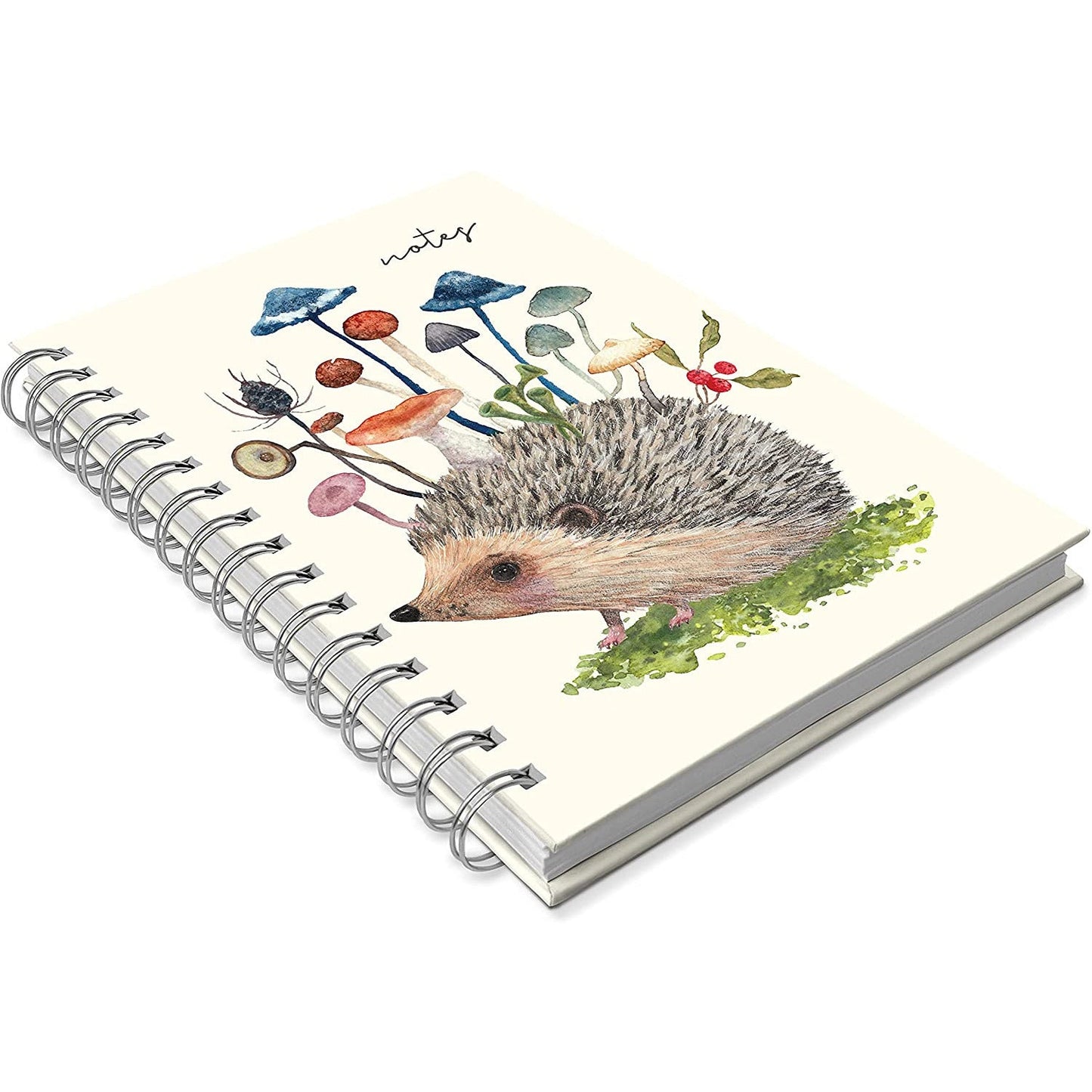 Cuaderno Erizo