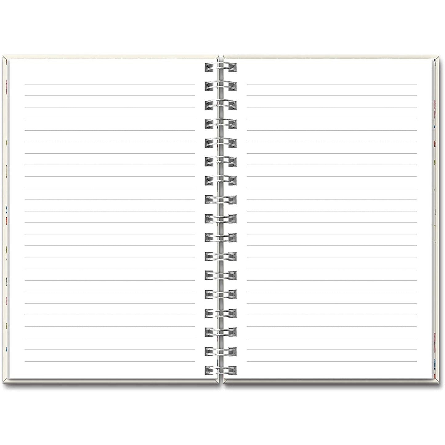 Cuaderno Erizo