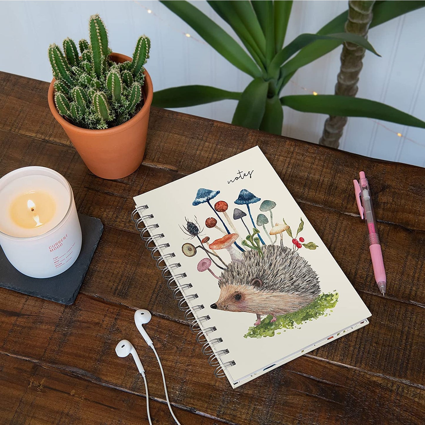 Cuaderno Erizo