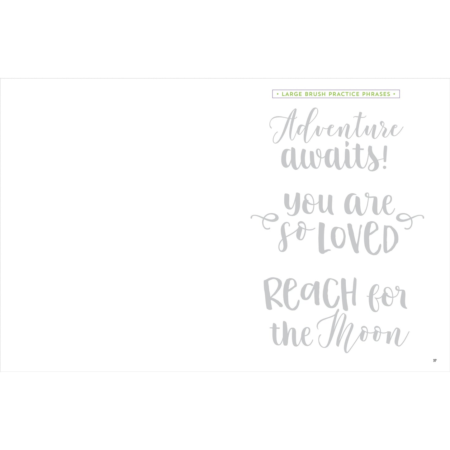 Set Hojas para Aprender Lettering