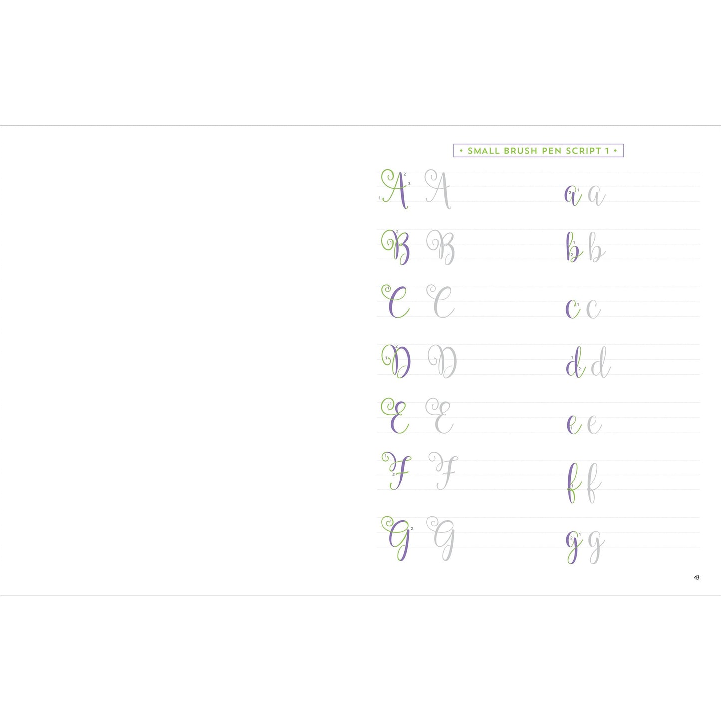 Set Hojas para Aprender Lettering