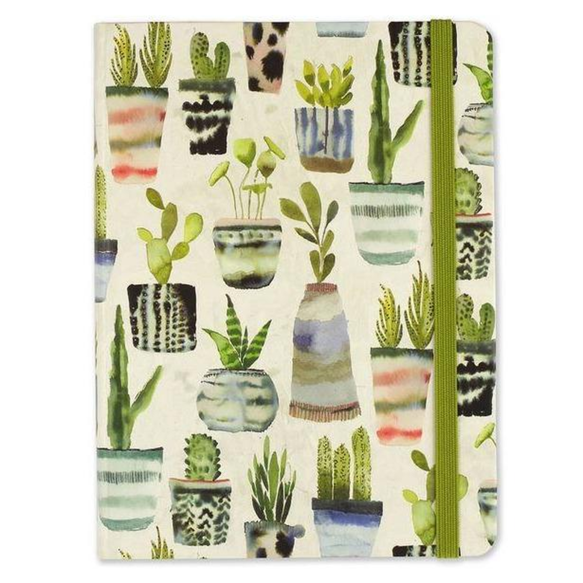 Libreta Suculentas