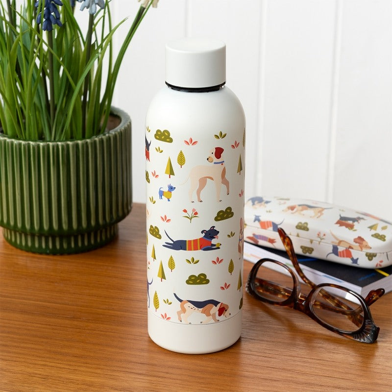Botellas y Mugs