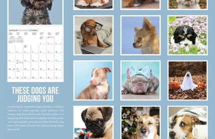 Calendario 2026 Pared 12M - Judgmental Dogs