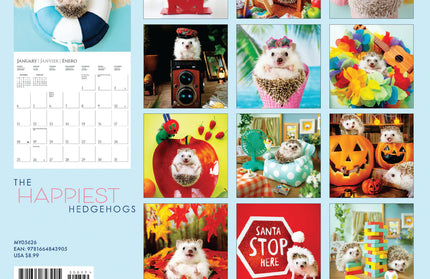 Calendario 2026 Pared Mini 12M - Happiest Hedgehogs