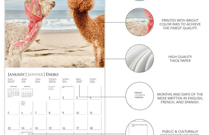 Calendario 2025 Pared 12M - Little Alpaca on the Prairie