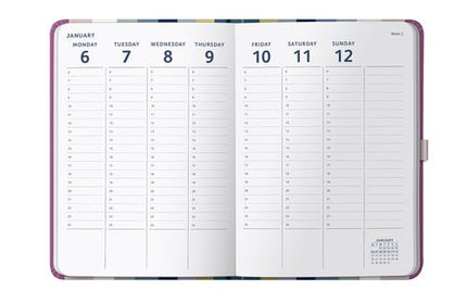 Agenda 2025 Mediana 12M Sem Vista Vertical - Stripe