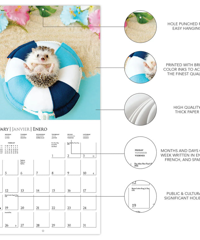 Calendario 2026 Pared Mini 12M - Happiest Hedgehogs