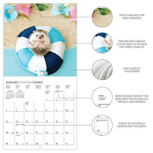 Calendario 2026 Pared Mini 12M - Happiest Hedgehogs
