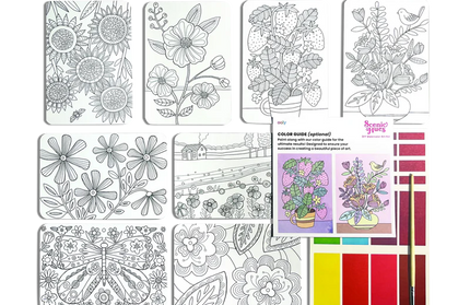 Set libro para pintar y acuarelas - Flowers & gardens