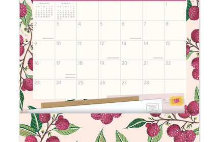 Calendario 2025 Frutas 17 Meses