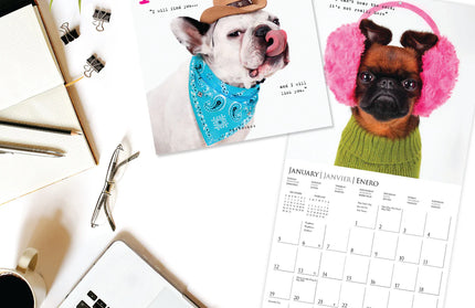 Calendario 2025 Mini Pared 12M - Pawparazzi