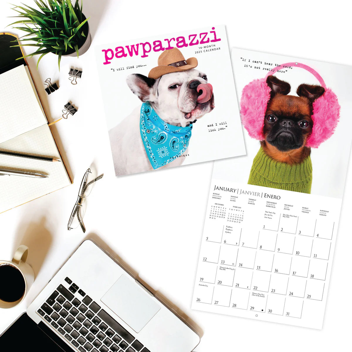 Calendario 2025 Mini Pared 12M - Pawparazzi
