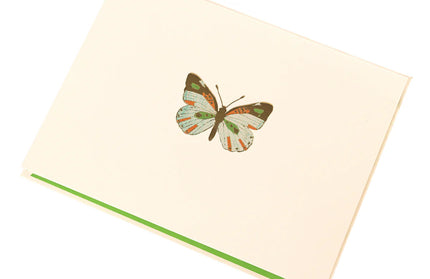 Set de 10 Tarjetas con Sobre - La Petite Presse Butterfly