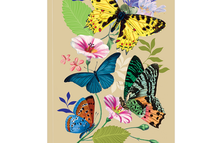 Libreta Tapa Blanda - Mariposas Florales Vintage
