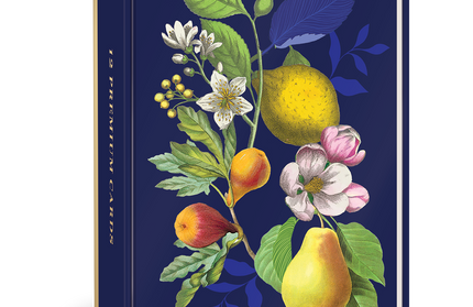 Tarjetas en Caja - Frutas Florales Vintage Relieve