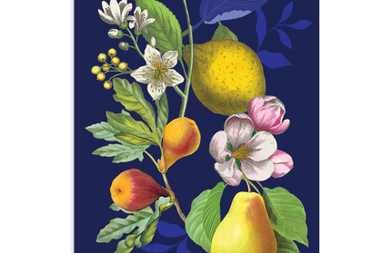 Tarjetas en Caja - Frutas Florales Vintage Relieve