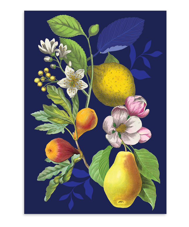 Tarjetas en Caja - Frutas Florales Vintage Relieve