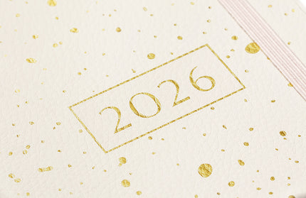 Agenda 2026 Chica 12M Sem Vista - Gold Spray
