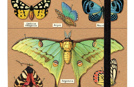 Agenda 2026 Sem Vista 12M - Entomology