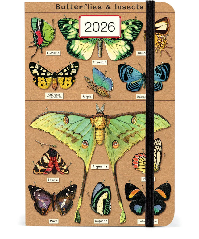 Agenda 2026 Sem Vista 12M - Entomology