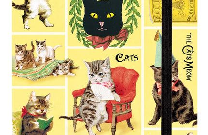 Agenda 2026 Sem Vista 12M - Cats