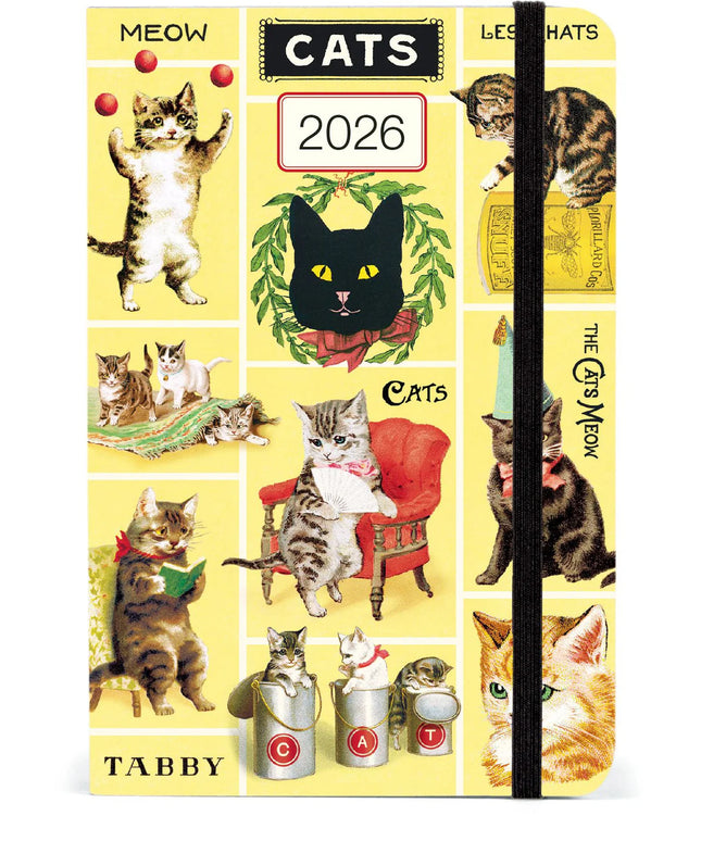 Agenda 2026 Sem Vista 12M - Cats