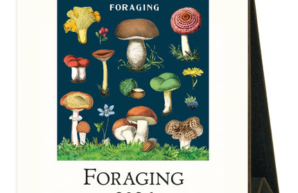 Calendario 2026 Escritorio 12M - Foraging