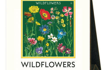 Calendario 2026 Escritorio 12M - Wildflowers