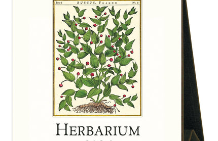 Calendario 2026 Escritorio 12M - Herbarium