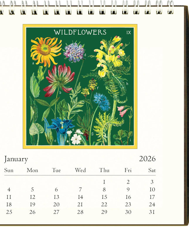 Calendario 2026 Escritorio 12M - Wildflowers