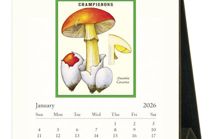 Calendario 2026 Escritorio 12M - Foraging