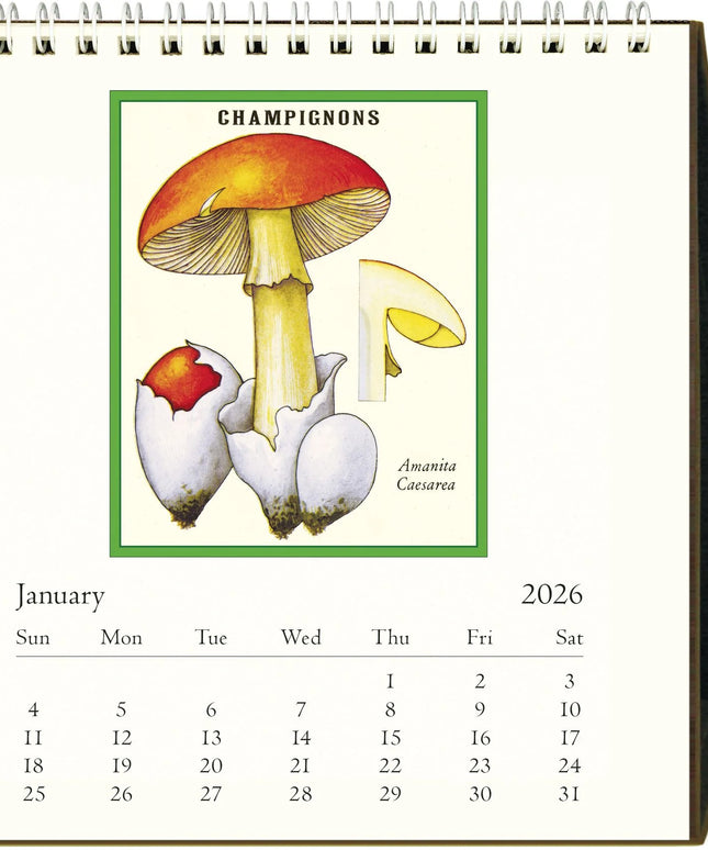 Calendario 2026 Escritorio 12M - Foraging