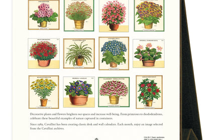Calendario 2026 Escritorio 12M - Jardiniere