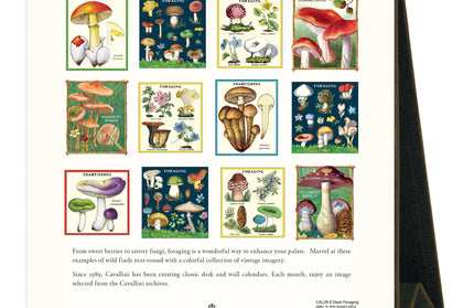 Calendario 2026 Escritorio 12M - Foraging