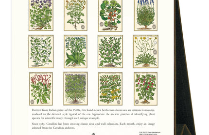 Calendario 2026 Escritorio 12M - Herbarium