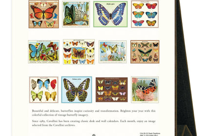 Calendario 2026 Escritorio 12M - Butterflies