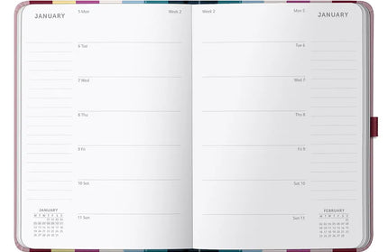 Agenda 2026 Mediana 12M Sem Vista - Rayas