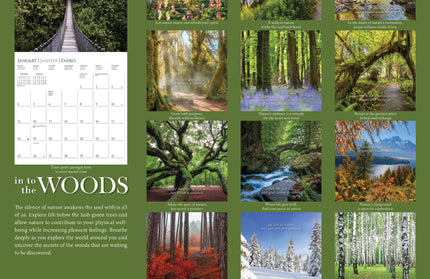 Calendario 2026 Pared 12M  - In to the Woods