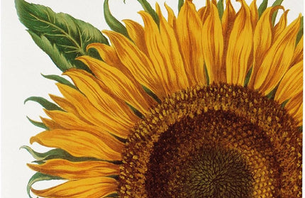 Calendario 2025 Mensual Pared Mini 12M - Herbarium