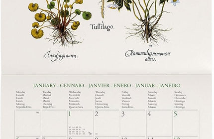 Calendario 2025 Mensual Pared Mini 12M - Herbarium